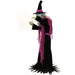 HHFTNWITCH-6FLSA Holiday/Halloween/Halloween Indoor Decor