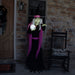 HHFTNWITCH-6FLSA Holiday/Halloween/Halloween Indoor Decor