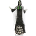 HHGRVYDSKEL-1FLSA Holiday/Halloween/Halloween Indoor Decor