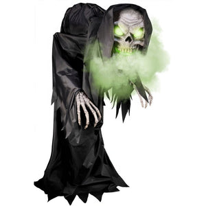 HHHNCHRPR-1FLSA Holiday/Halloween/Halloween Indoor Decor