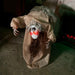 HHLADY-15FLSA Holiday/Halloween/Halloween Outdoor Decor