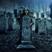 HHMG040-1RPR-BLK Holiday/Halloween/Halloween Indoor Decor