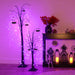 HHPTSET3-1PUR/BLK Holiday/Halloween/Halloween Outdoor Decor