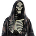 HHROTRPR-1FLSA Holiday/Halloween/Halloween Indoor Decor