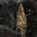 HHSKEL-8HLSA Holiday/Halloween/Halloween Indoor Decor