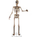 HHTWRSKEL-2FLSA Holiday/Halloween/Halloween Indoor Decor