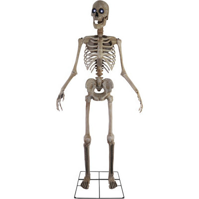 Product Image: HHTWRSKEL-2FLSA Holiday/Halloween/Halloween Indoor Decor