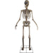 HHTWRSKEL-2FLSA Holiday/Halloween/Halloween Indoor Decor