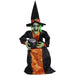 HHWITCH-40FLSA Holiday/Halloween/Halloween Indoor Decor
