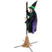 HHWITCH-52FLS Holiday/Halloween/Halloween Outdoor Decor