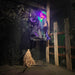 HHWITCH-52FLS Holiday/Halloween/Halloween Outdoor Decor