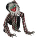 HHWOLF-4FLSA Holiday/Halloween/Halloween Indoor Decor
