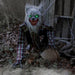 HHWOLF-4FLSA Holiday/Halloween/Halloween Indoor Decor
