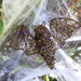 HHWOOD3BAT-1BR Holiday/Halloween/Halloween Indoor Decor