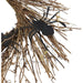 HHWRTHSPD-1BR Holiday/Halloween/Halloween Indoor Decor