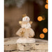 MA3087 Holiday/Christmas/Christmas Indoor Decor