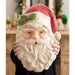 TD3176 Holiday/Christmas/Christmas Indoor Decor