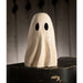 TJ2301 Holiday/Halloween/Halloween Indoor Decor