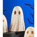 TJ2301 Holiday/Halloween/Halloween Indoor Decor