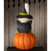 TJ4311 Holiday/Halloween/Halloween Indoor Decor