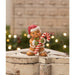 TJ4318 Holiday/Christmas/Christmas Indoor Decor