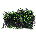 AD1062RGB Holiday/Christmas/Christmas Lights