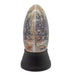 HW1934 Holiday/Halloween/Halloween Indoor Decor