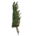 TR0216LED Holiday/Christmas/Christmas Trees
