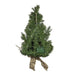 TR0216LED Holiday/Christmas/Christmas Trees