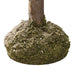 TR3282 Holiday/Christmas/Christmas Indoor Decor