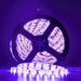 AD3100 Holiday/Christmas/Christmas Lights