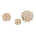 TR3295GO Holiday/Christmas/Christmas Indoor Decor