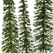 TR3295GR Holiday/Christmas/Christmas Indoor Decor