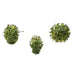 TR3295GR Holiday/Christmas/Christmas Indoor Decor