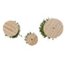 TR3295GR Holiday/Christmas/Christmas Indoor Decor