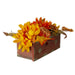 33532667 Holiday/Thanksgiving & Fall/Thanksgiving & Fall Tableware and Decor