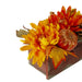33532667 Holiday/Thanksgiving & Fall/Thanksgiving & Fall Tableware and Decor