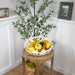 33532697 Holiday/Thanksgiving & Fall/Thanksgiving & Fall Tableware and Decor