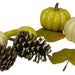 33532697 Holiday/Thanksgiving & Fall/Thanksgiving & Fall Tableware and Decor