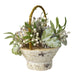 33650091 Holiday/Thanksgiving & Fall/Thanksgiving & Fall Tableware and Decor
