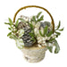 33650091 Holiday/Thanksgiving & Fall/Thanksgiving & Fall Tableware and Decor