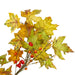 33650109 Holiday/Thanksgiving & Fall/Thanksgiving & Fall Tableware and Decor