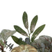 34315216 Decor/Faux Florals/Wreaths & Garlands