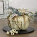 34315217 Holiday/Thanksgiving & Fall/Thanksgiving & Fall Tableware and Decor