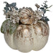 34315217 Holiday/Thanksgiving & Fall/Thanksgiving & Fall Tableware and Decor