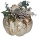 34315217 Holiday/Thanksgiving & Fall/Thanksgiving & Fall Tableware and Decor