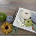 34315242 Holiday/Thanksgiving & Fall/Thanksgiving & Fall Tableware and Decor