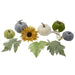 34315242 Holiday/Thanksgiving & Fall/Thanksgiving & Fall Tableware and Decor