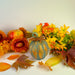 34316678 Holiday/Thanksgiving & Fall/Thanksgiving & Fall Tableware and Decor