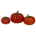 34340448 Holiday/Thanksgiving & Fall/Thanksgiving & Fall Tableware and Decor